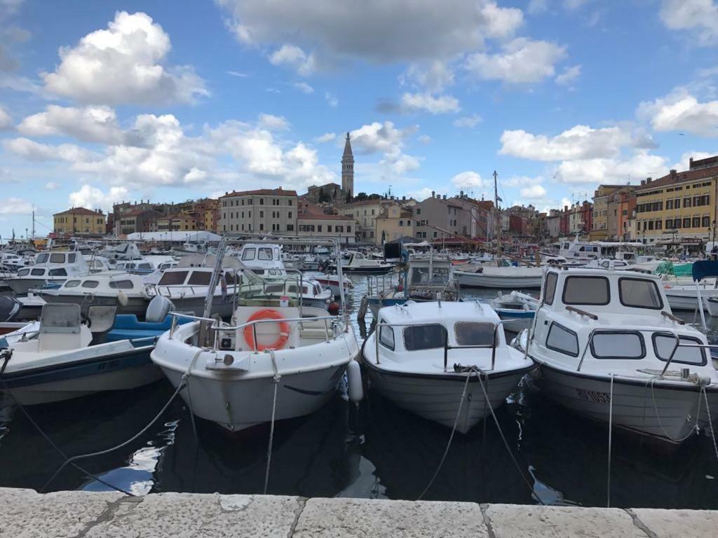 Studio Apartment Rosemary Rovinj Exterior foto